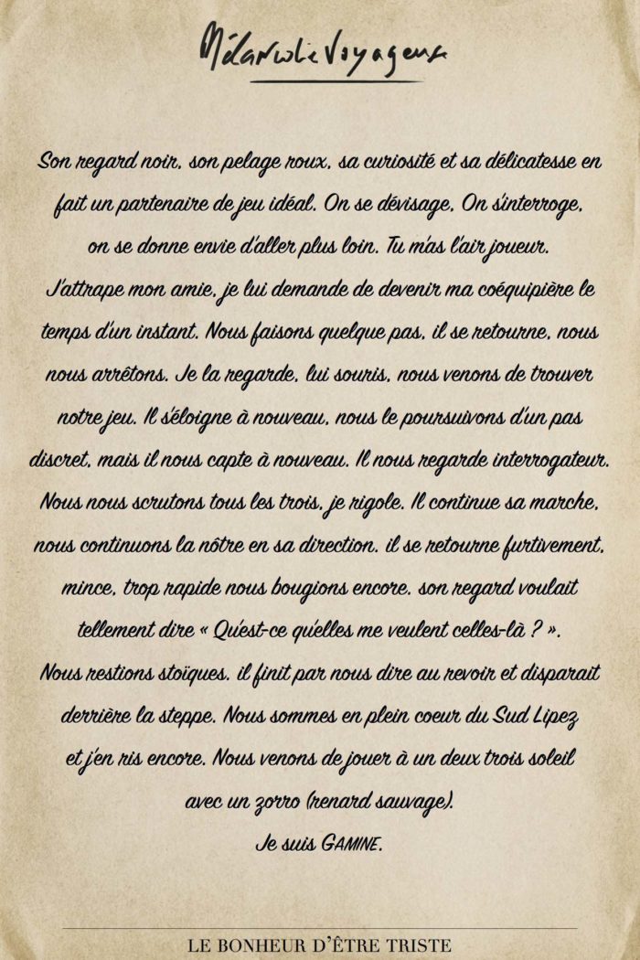 Renard sauvage et la gamine - Mélancolie Voyageuse - Blog de voyage et d'écriture