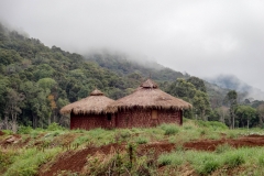 Maisons traditionnelles du Plateau - Plateau des Bolavens - Laos